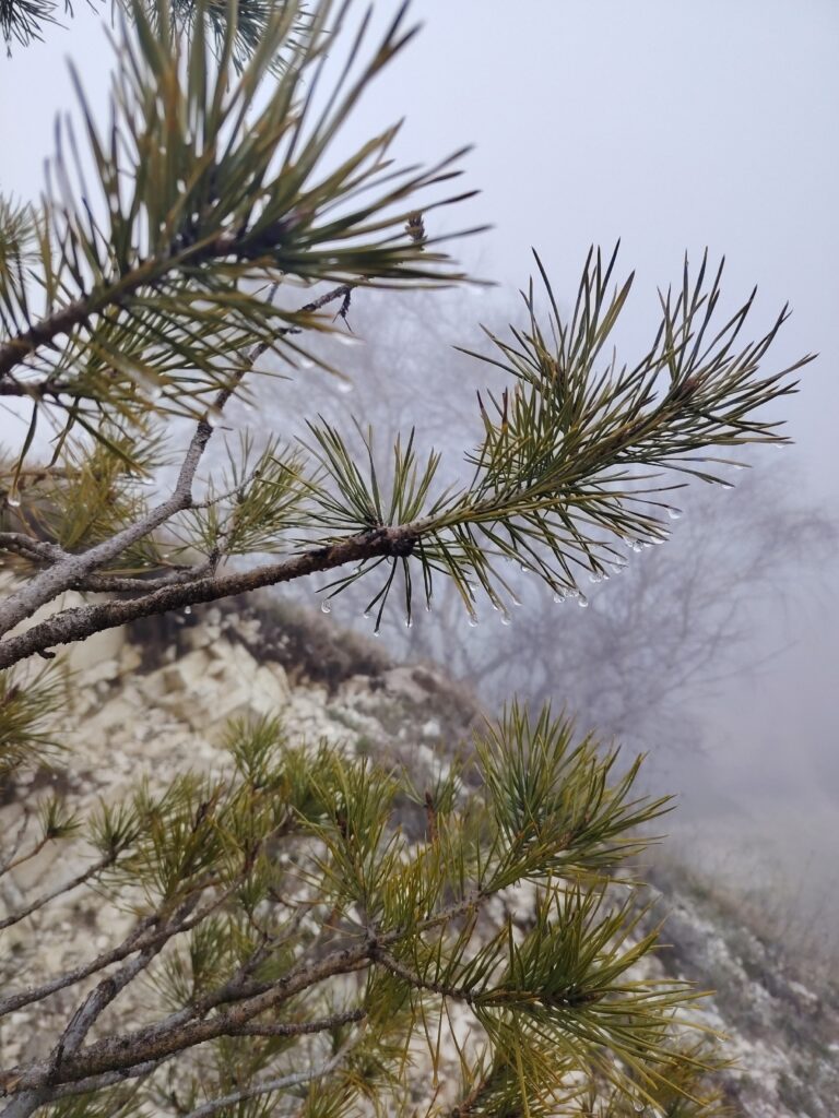 Длительный кросс в Кисловодске: 21 км и набор высоты 560 м